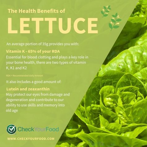 The Health Benefits of Lettuce Benefits Of Lettuce, Personalized Nutrition, Vitamin K, Bone Health, Menu Planning, Fruit And Veg, Food Diary, Nutrition Information, Food Menu