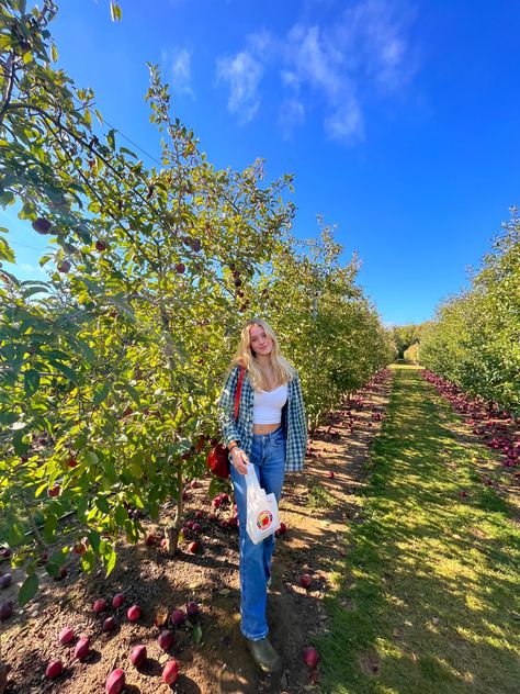 new york apple picking Apple Picking Photoshoot Friends, Apple Picking Instagram Pictures, Apple Picking Poses, Apple Picking Outfit Fall Casual, Apple Picking Photoshoot, Apple Picking Pictures, Apple Orchard Photoshoot, Apple Picking Aesthetic, Apple Picking Photos