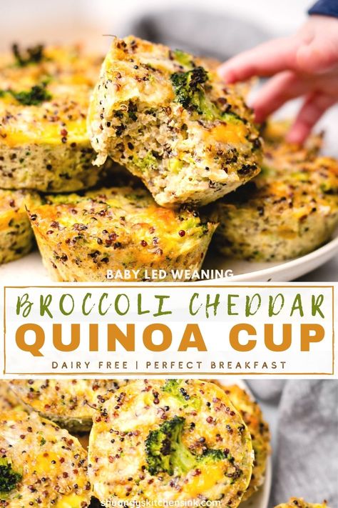 Broccoli Cheddar Quinoa, Quinoa Cups, Broccoli Health Benefits, Broccoli Quinoa, Quinoa Broccoli, Broccoli Benefits, Family Breakfast Recipes, Quinoa Bites, Steamed Sweet Potato