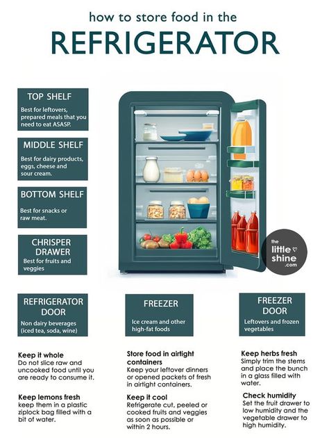 Organize Fridge Ideas, Fridge Hacks, Housewife Tips, Food Shelf Life, Life Made Simple, Vegetable Drawer, Food Wastage, Clean Fridge, Culinary Techniques