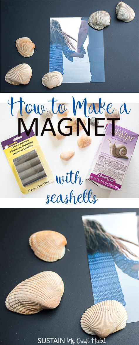 We'll show you how to make a magnet using seashells and modeling clay to display your family vacation photos. #seashellcrafts #crafts #beachdecor via @sustainmycrafth Seashell Magnets Diy, Seashell Magnets, Family Vacation Photos, Clay Handprint, Diy Nature, Seashell Projects, How To Teach Kids, Cone Christmas Trees, Bible Crafts For Kids