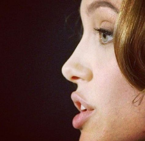 Angelina Jolie Angelina Jolie Nose Job, Angelina Jolie Nose, Angelina Jolie Body, Angelina Jolie Eyes, Nose Profile, Angelina Jolie Style, Pretty Nose, Angelina Jolie Photos, Perfect Nose