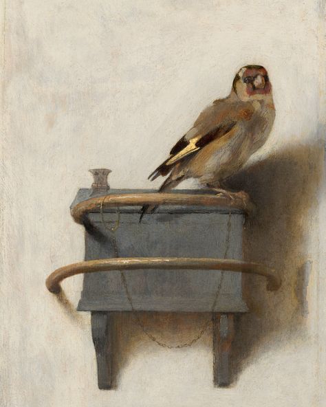 The Goldfinch by Carel Fabritius - Vintage Bird Painting - Famous Painting - Goldfinch Painting - Bird Print - Famous Art Prints Carel Fabritius, The Goldfinch, Bird Sitting, Label Art, Country Wall Art, Dutch Golden Age, Auguste Rodin, Bird Canvas, Jeff Koons