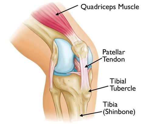 Extensor Tendon Stretches in Plano, Dallas, Prosper, TX | Graff Foot, Ankle and Wound Care Osgood Schlatter Disease, Thigh Muscles, Back Injury, Knee Exercises, Knee Pain Relief, Homeopathic Medicine, Knee Injury, Knee Pain, Pain Relief