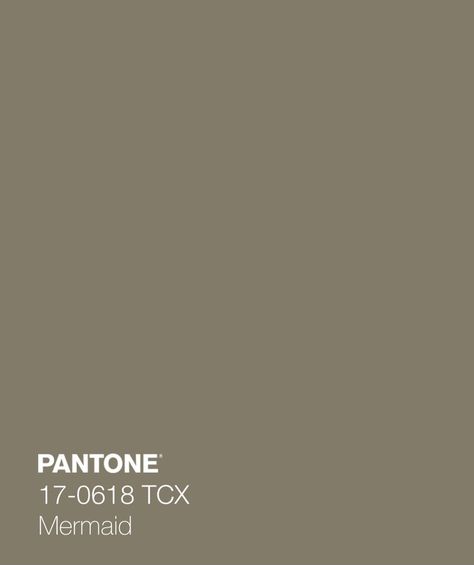 Earth Pantone, Earth Tones Paint, Earth Colors, Pantone Colors, Earth Color, Spring Home, Pantone Color, Earth Tones, Colour Palette