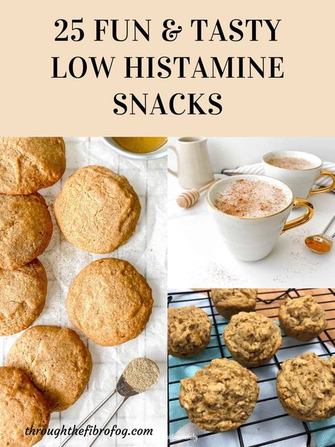 Low Histamine Oatmeal Cookies, Low Histamine And Low Fodmap, Low Histamine Treats, Low Histamine Snack Ideas, Low Histamine Recipes Instapot, Low Histamine Muffins, Low Histamine Cookies, Low Histamine Recipes For Kids, Low Histamine Foods Recipes