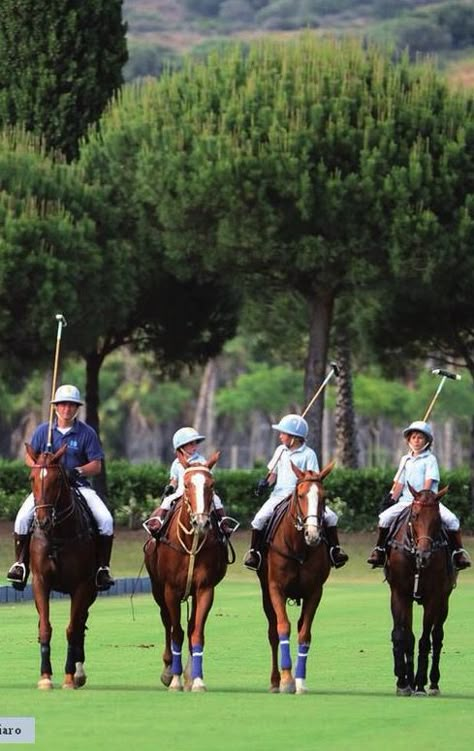 Country Club Style, Equestrian Helmets, Polo Horse, Equestrian Helmet, Sport Of Kings, Types Of Horses, Polo Match, Sports Aesthetic, Equestrian Lifestyle