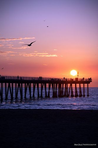 Hermosa Beach California, California Sunset, Beach Pier, Hermosa Beach, Beach California, Beautiful Sunset, Beach Photos, Beach Sunset, Image Gallery