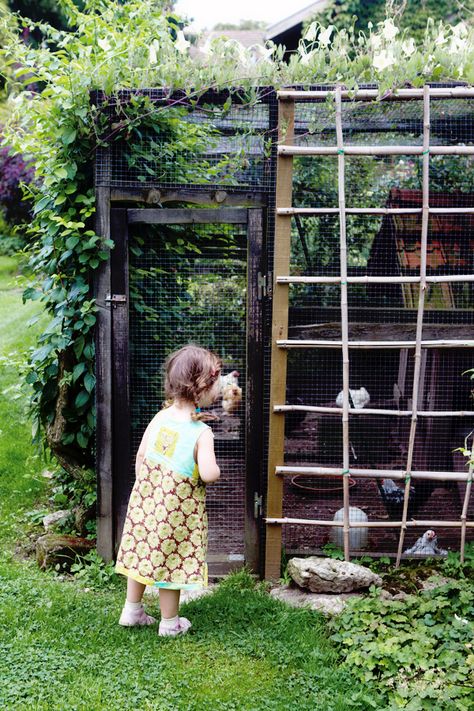 Chicken Coop Kit, Chicken Coop Blueprints, Beautiful Chickens, Chicken Garden, Chicken Coop Ideas, Chicken Run, Keeping Chickens, Building A Chicken Coop, Coop Ideas