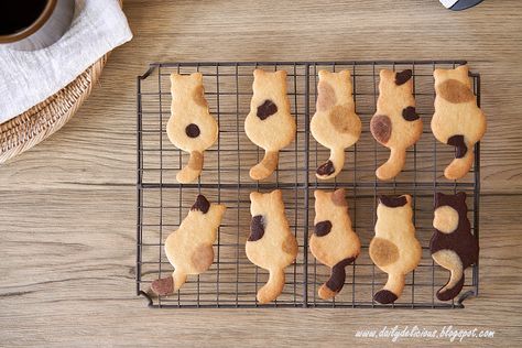 dailydelicious: Calico cat cookies Calico Cookies Recipe, Calico Cat Cookies, Red Velvet Brownies, Chocolate Cookie Dough, Coffee Granules, Cat Cookies, Coffee Cookies, Vanilla Cookies, Perfect Cookie