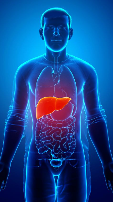 Warning signs of liver damage , https://initfeed.com/warning-signs-of-liver-damage/life-style/ Check more at https://initfeed.com/warning-signs-of-liver-damage/life-style/ Signs Of Liver Damage, Quadrants Of The Abdomen, Liver Damage, Longevity Diet, Low Estrogen Symptoms, Low Estrogen, Healthy Lifestyle Quotes, Liver Detoxification, Healthy Lifestyle Habits