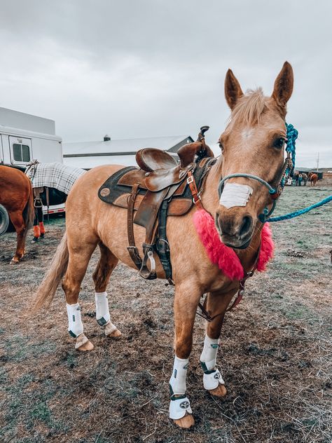 Barrel Tack Sets, Palomino Barrel Horse, Horses Barrel Racing, Rodeo Horses Barrels, Horse Tack Sets, Barrel Racing Photos, Barrel Racing Photography, Tan Horse, Barrel Racing Tack Sets