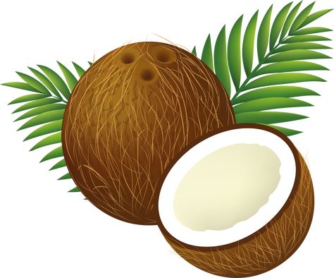 Coconut Sticker, Coconut Images, Coconut Vector, Coconut Water Benefits, Flower Png Images, Fruit Clipart, Coconut Benefits, Tropical Food, Coconut Drinks