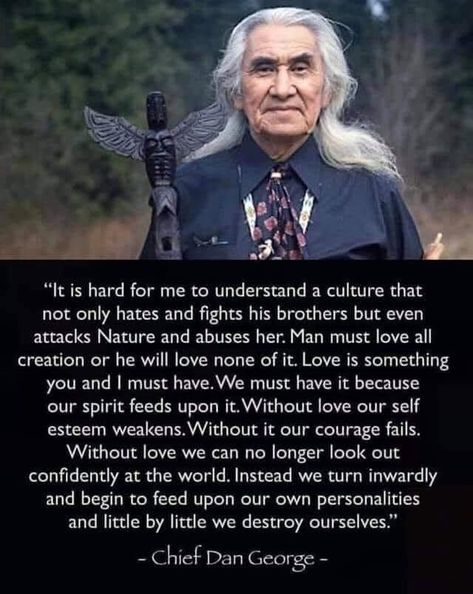 Chief Dan George, American Indian Quotes, Native American Proverb, Native American Spirituality, Native American Wisdom, Indian Quotes, American Quotes, Native American Quotes, Native American Heritage