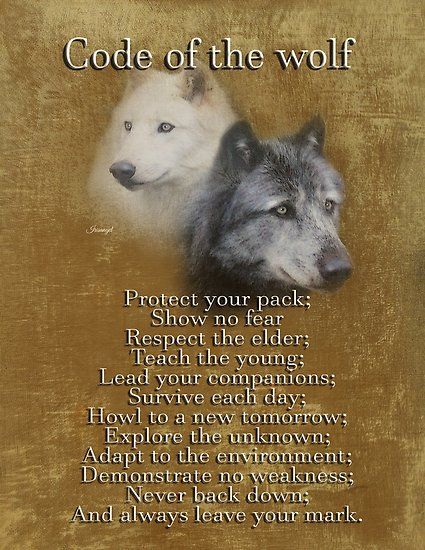 Code of the Wolf inspirational quote on artistic wolves watercolor on parchment look background. Native American wisdom. Wolf spirit, The text reads / ,"Protect your pack; / Show no fear / Respect the elder; / Teach the young; / Lead your companions; / Survive each day; / Howl to a new tomorr… • Millions of unique designs by independent artists. Find your thing. Code Of The Wolf, Wolf Pack Quotes, American Indian Quotes, Lone Wolf Quotes, Native American Prayers, Native American Spirituality, Wolf Poster, American Quotes, Native American Wisdom