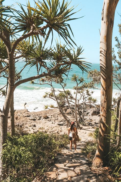 Noosa National Park, Queensland, Top things to do, Travel Guide, Australia Noosa National Park, Noosa Heads Australia, Noosa Australia Aesthetic, Australia Coast, Hiking Australia, Noosa Beach, Australia Gold Coast, Noosa Australia, Gap Year Travel