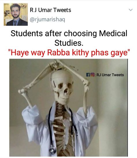 Medical Student Joke, Medico Aesthetic, Med Student Humor, Getting Your License, Medical Funny, Memes About Work, Medical Student Humor, Medical School Humor, Neet Notes