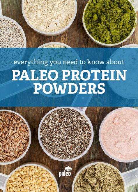 Learn about Paleo protein powder, what you are allowed to use and the positives and negatives of each type. Paleo Protein Shake, Paleo Protein Powder, Paleo Protein, Workout Recovery, Paleo Life, Paleo Lifestyle, Protein Powders, Blender Bottle, Paleo Snacks