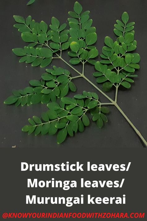 What Is Moringa, Drumstick Leaves, Moringa Tree, Healthy Milk, North Indian Recipes, Leaf Vegetable, Moringa Leaves, Full Hand Mehndi Designs, Curry Dishes