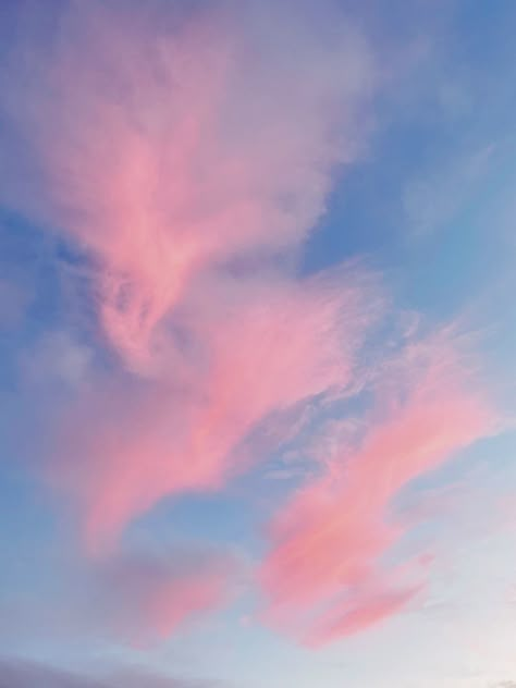 Cotton Candy Pink And Blue, Pink And Blue Asethic Wallpaper, Pink And Blue Cotton Candy Aesthetic, Cotton Candy Sunset Aesthetic, Pink And Blue Winter Aesthetic, Pink And Blue Aesthetic Icon, Bright Pink And Blue Aesthetic, Cotton Candy Skies Aesthetic, Cotton Candy Mood Board