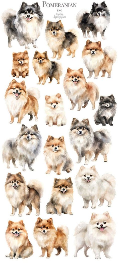 Clipart Pawsome Pals: Illustrated Dogs Pomeranian Art Illustrations, Pomeranian Drawing, Pomeranian Illustration, Pomeranian Cartoon, Pomeranian Art, Pomeranian Colors, Dogs Clipart, Etsy Clipart, Pomeranian Spitz