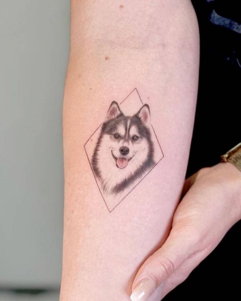 Micro-realistic Pomsky (Pomeranian + Husky) tattoo on Husky Tattoo, International Tattoo, Pomeranian Husky, Tattoos Gallery, Body Mods, A Tattoo, Tattoo On, Tattoo Artist, Artist Studio