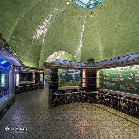 Belle Isle Aquarium - Photos gallery | Historic Detroit Belle Isle Detroit, Historic Detroit, Aquarium Photos, Belle Isle, Need A Vacation, Green Tile, Hanging Out, Sunny Days, Entrance