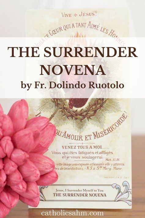 The Surrender Novena by Fr. Dolindo Ruotolo - Catholic Stay-At-Home Mom Surrender Prayer, Surrender Novena, Novena Prayers Catholic, Novenas Catholic, Path To Heaven, Gods Will, Our Father Prayer, I Surrender, The Will Of God