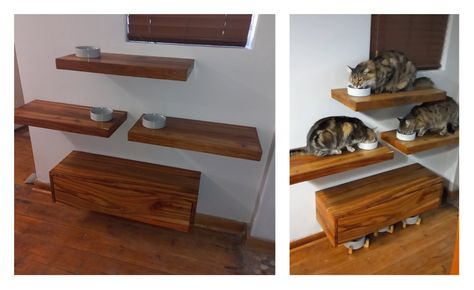 Brown Kiaat floating shelf. Cat feeding station. Dog proof. Elevated. Elevated Feeding Station Cats, Cat Shelf Feeding Station, Multiple Pet Feeding Station, Cat And Dog Feeding Station Diy Projects, Dog And Cat Feeding Station, Raised Cat Food Station Diy, Animal Feeding Station, Cat Food And Litter Station, Elevated Cat Food Station