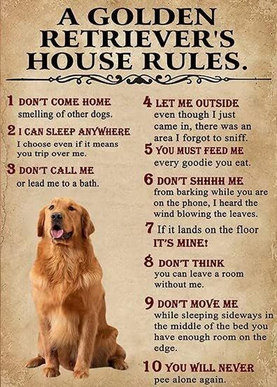 House Rules Poster, Rules Poster, Poster Funny, Dog Poster, Dont Call Me, House Rules, Outdoor Home, Poster Vintage, Vintage Valentines