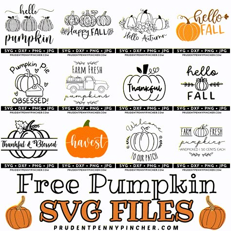 Add a touch of autumn to your apparel and home decor with these free fall pumpkin SVG files. They are perfect for t-shirts, fall wall art, fall wood signs, tumblers, mugs, and much more! Whether you want to make Fall Cricut projects to sell or as a fall craft to give as a gift, there are tons of free svgs so celebrate fall in style with these cute fall t-shirts and DIY fall decor ideas. These fall pumpkin cut files are easy to download and turn into DIY fall projects. Cricut Art Projects, Fall Vinyl Ideas, Fall Svg Files Free Cricut, Svg Fall Designs Free, Cricut Projects Ideas Decor Wall Art, Free Pumpkin Svg Files For Cricut, Cricut Pumpkin, Fall Svg Files, Fall Mug Ideas