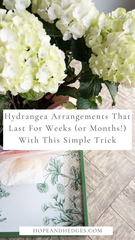 If you love a beautiful hydrangea centerpiece, and wonder how to keep hydrangea blooms last longer indoors, well I have a really simple trick to keep fresh hydrangeas indoors last for WEEKS (or even months!). How To Preserve Hydrangea Blooms, Painted Hydrangea Flowers, Decorating With Hydrangeas, Small Hydrangea Centerpiece, Hydrangea Centerpiece Diy, Hydrangea Season, Summer Blooming Flowers, Hydrangea Potted, Large Hydrangea