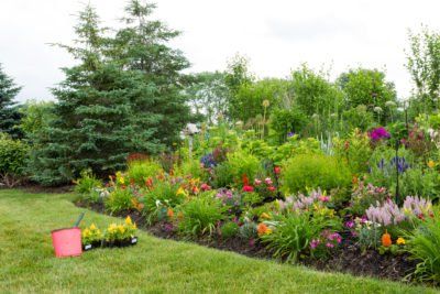 Burm Landscaping, Tattoo Plant, Easy Landscaping, Home Landscaping, Perennial Garden, Garden Structures, Ornamental Grasses, Flowers Perennials, Flowering Trees