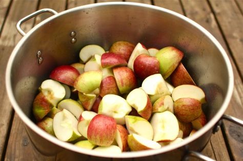 preserving ideas!! Applesauce For Canning, Freezing Sweet Corn, Making Applesauce, Make Applesauce, Canning Applesauce, Canned Applesauce, Homemade Cider, Canning Apples, How To Make Applesauce