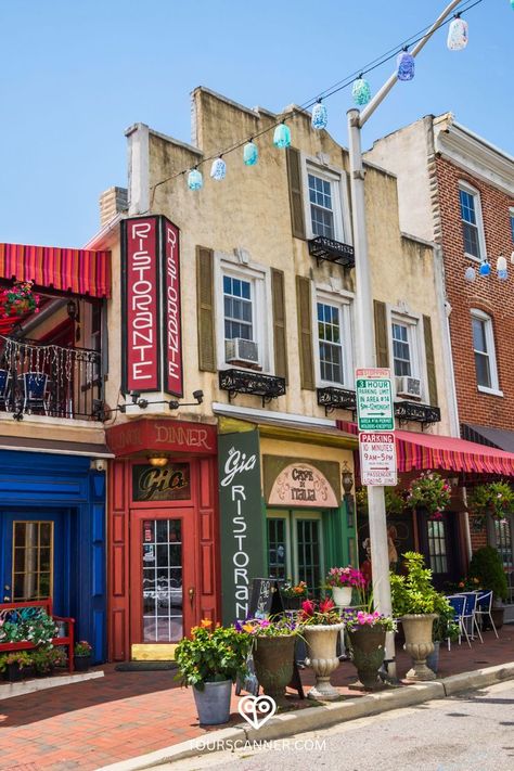 Experience the cultural tapestry of Baltimore with our guide to 'Things to Do in Baltimore 🏙️ Immerse yourself in the charm of this historic neighborhood, where cobblestone streets lead to culinary delights. Ready to savor the essence of Little Italy? 👉🔗 #BaltimoreAdventures #CharmCity #BaltimoreExploration #LittleItalyBaltimore Baltimore Street, The Penguins, Hill Park, Hot Air Balloon Rides, Vacation Usa, Air Balloon Rides, Pub Crawl, Little Italy, Baltimore Maryland