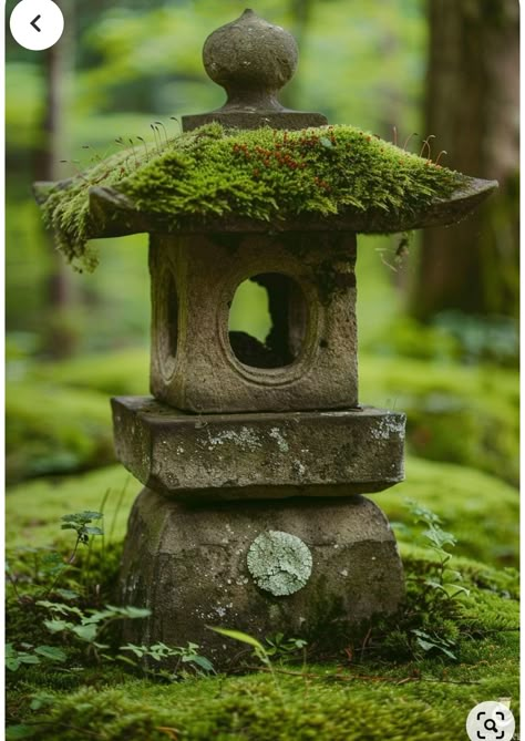 Wabi Sabi Plants, Japanese Moss Garden, Wabi Sabi Garden, Jing Y Jang, Japanese Garden Plants, Asian Plants, Japanese Stone Lanterns, Wabi Sabi Japanese, Japanese Plants