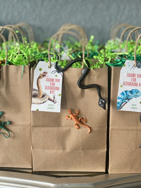 Safari Treat Bags, Reptile Dessert Table, Coyote Peterson Birthday Party, Reptiles Birthday Party Ideas, Lizard Party Ideas For Kids, Reptile Bday Party, Reptile Party Decorations, Snake Birthday Party Ideas, Jumanji Birthday Party