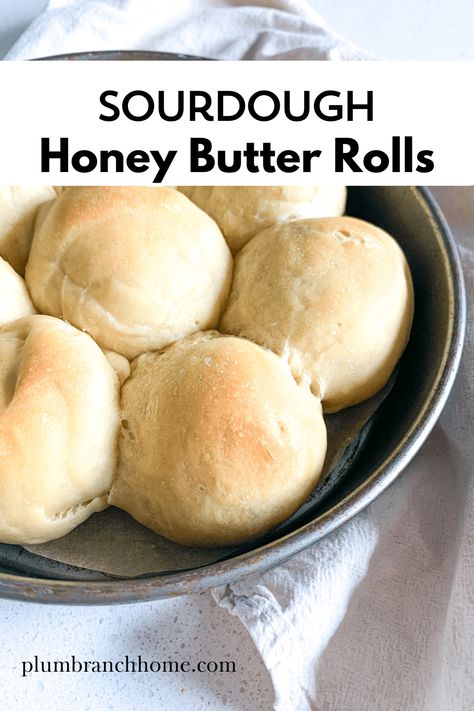 Honey Rolls Recipe, Discard Rolls, Sourdough Discard Rolls, Butter Dinner Rolls, Butter Roll Recipe, Sourdough Dinner Rolls, Sourdough Breads, Sweet Dinner Rolls, Sourdough Rolls