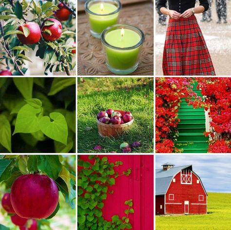 Apple Bath And Body Works, Bath And Body Works Scents, Dnd Bard, Moodboard Aesthetic, Mood Board Inspiration, Mood Board Design, Red Aesthetic, Green Apple, Color Pallets