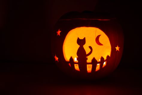 Cat And Moon Pumpkin Carving, Pumpkin Ideas Aesthetic, Witchy Pumpkin Carving Ideas, Moon And Stars Pumpkin Carving, Witchy Pumpkin Carving, Cat Pumpkin Carving Ideas, Pumpkin Carving Ideas Cat, Cat Pumpkin Carving Stencils, Moon Pumpkin Carving