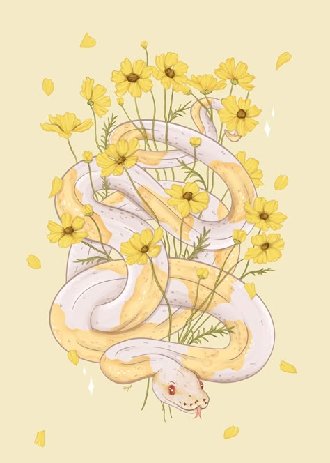 Pied Ball Python, Yellow Cosmos, Ball Python, Snakes, Reptiles, Python, Cosmos, I Love, Yellow