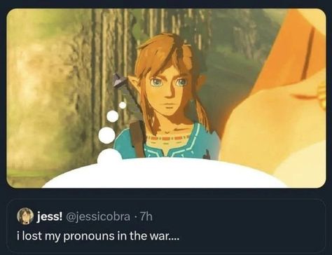 Botw Zelda, Legend Of Zelda Memes, Zelda Funny, Link Zelda, Zelda Art, Legend Of Zelda Breath, Zelda Breath, Twilight Princess, So Funny