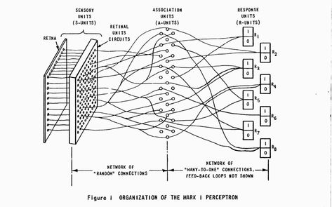 Brain Models, Artificial Neural Network, Ghost In The Machine, Neural Network, Human Mind, Deep Learning, Data Visualization, Screen Shot, Labor