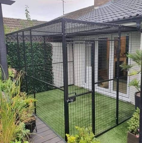 Outside Cat And Dog Enclosure, Outdoor Dog Enclosure, Cat Cages Outdoor, Cat Patio Enclosure, Dog Cage Outdoor, Catio Ideas Cat, Cat Shed, Cat House Design, Cat House Outdoor