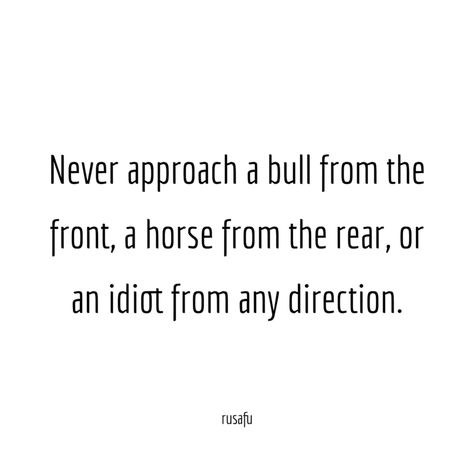 Never approach a bull from the front, a horse from the rear, or an idiot from any direction. - RUSAFU Petty Quotes Funny, Alpha Female Quotes, Sarcasm Comebacks, Petty Quotes, Twix Cookies, Serious Quotes, Savage Quotes, Lovely Quotes, Almond Joy