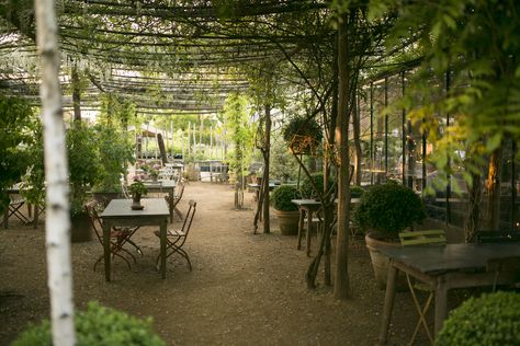 Petersham Nurseries Cafe: Supper Club Dinner | Spoonhq – Food PR ... Hidden London, Petersham Nurseries, Theme Nature, Piccadilly Circus, Outdoor Eating, Garden Nursery, Garden Cafe, Charming Garden, Outdoor Restaurant