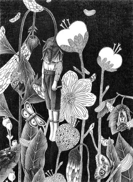 Flora Illustration, Arte Peculiar, White Drawing, Ink Drawings, Drawing Techniques, Ink Art, Dark Art, Drawing Inspiration, Painting & Drawing