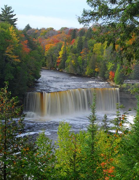 Tahquamenon Falls State Park, Paradise MI Michigan Waterfalls, Fall In Michigan, Tahquamenon Falls, Mackinaw City, Largest Waterfall, Michigan Travel, Michigan Usa, Upper Peninsula, Pure Michigan