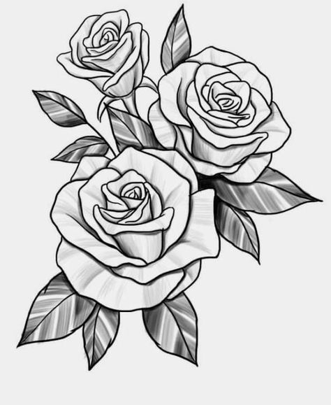 Three Roses Drawing, Double Rose Tattoo Design, Three Roses Tattoo Design, Rose Tattoo Stencils, Rose Tattoo Stencil Outline, Rose Vine Tattoos, Rose Tattoo Stencil, Tattoo Samples, Rose Drawing Tattoo