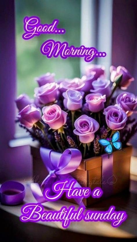 Happy Teddy Day Images, Temple Wallpaper, Sunday Flowers, Happy Sunday Images, Good Morning Sunday, Good Morning Sunday Images, Weekend Greetings, Happy Sunday Morning, Sunday Greetings